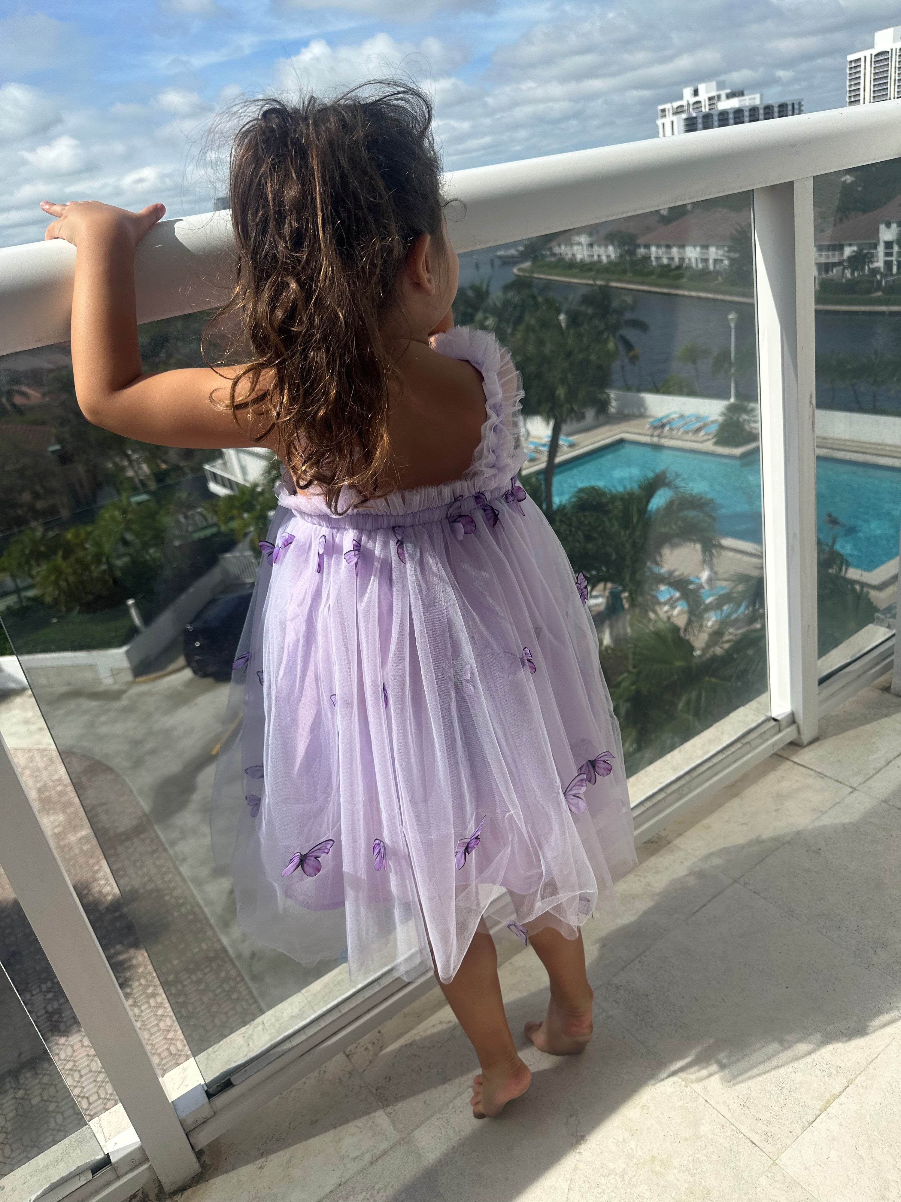 20 - Purple Butterfly Fairy Dress