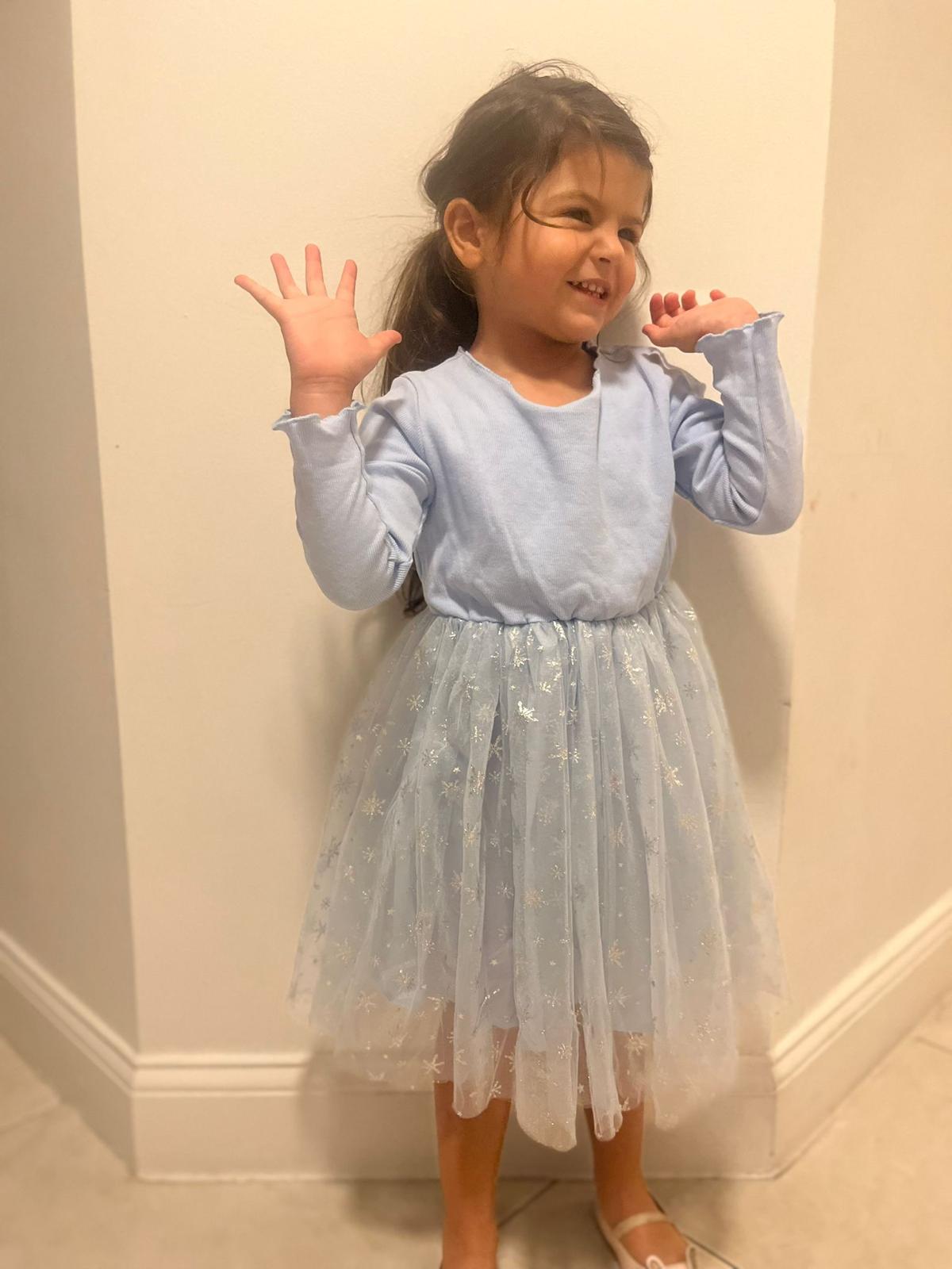 49 - Blue Dress with Snowflakes Tutu Long Sleeves