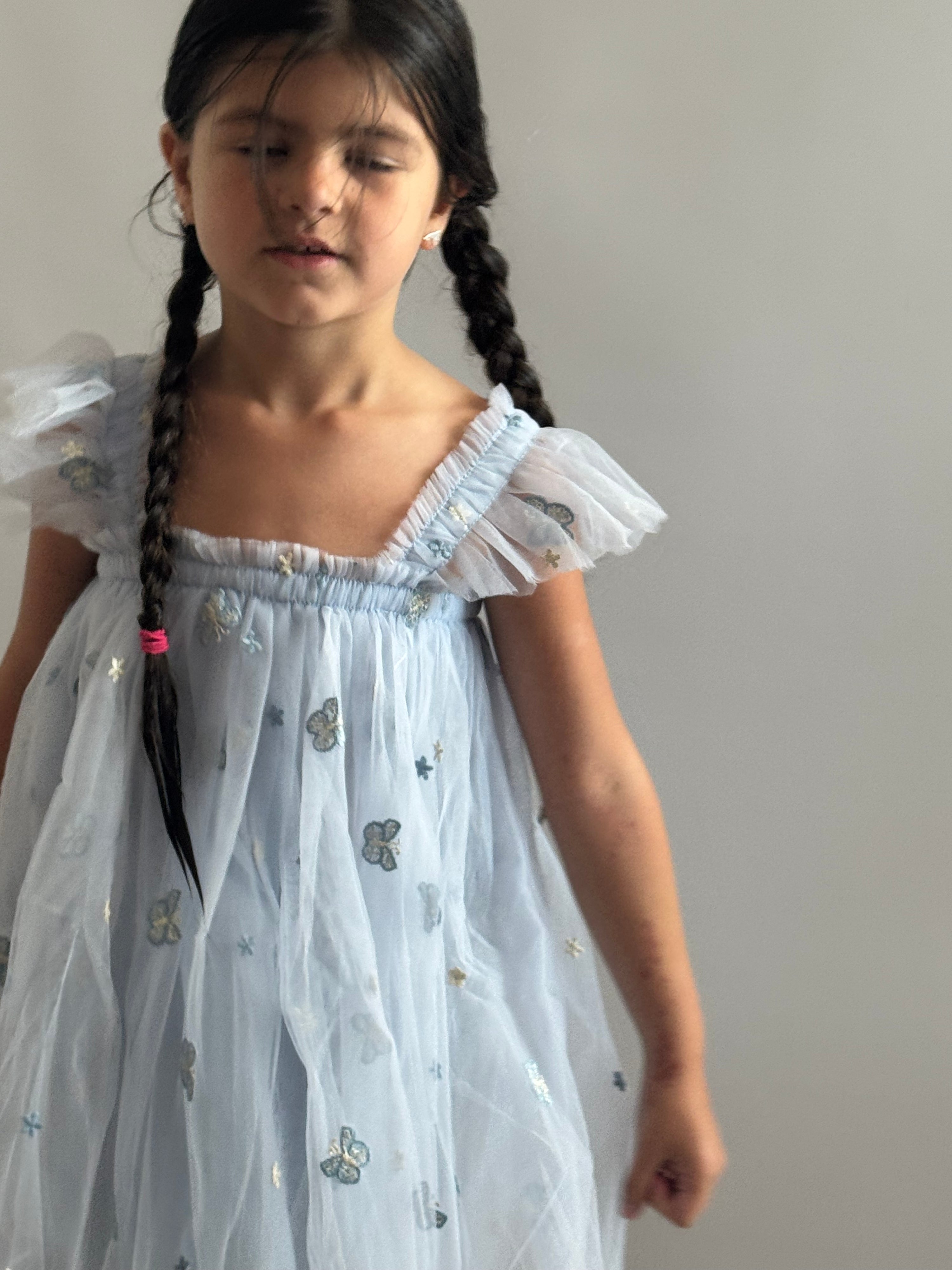 04 - NEW Baby Blue  Flower and Butterfly Dress