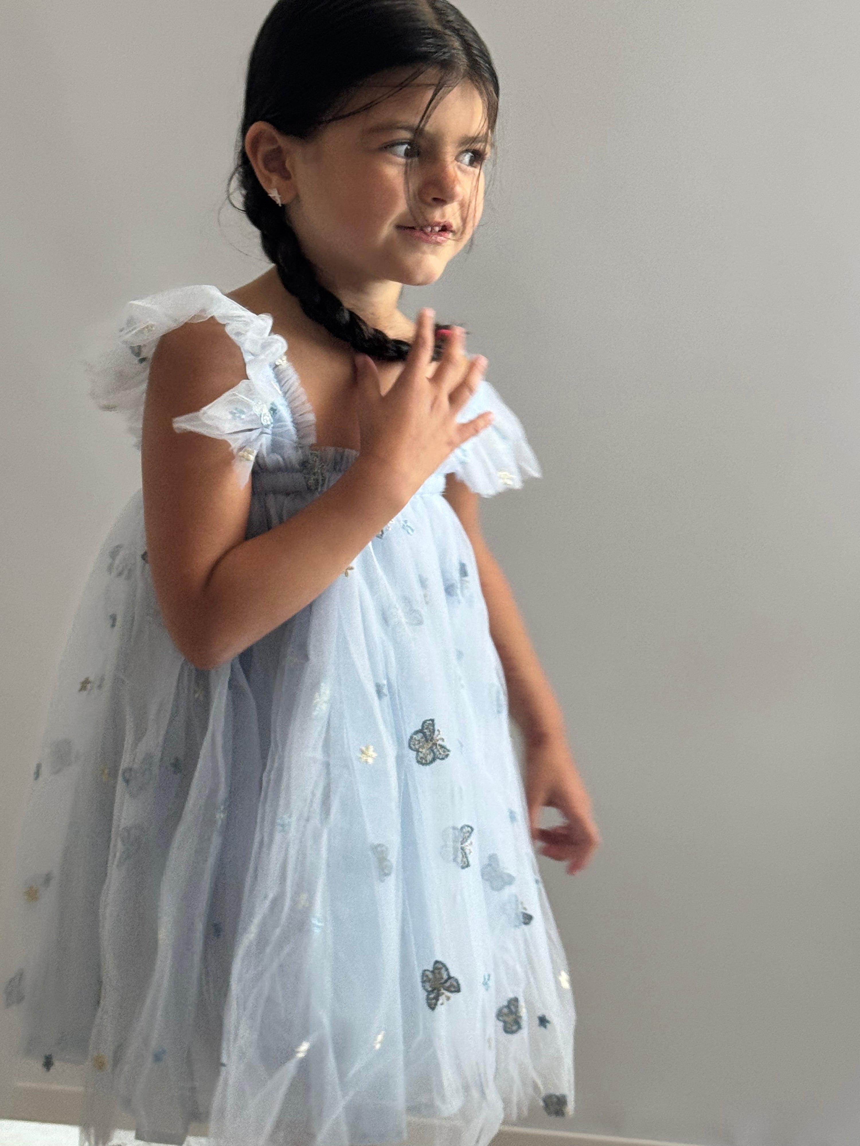 04 - NEW Baby Blue  Flower and Butterfly Dress