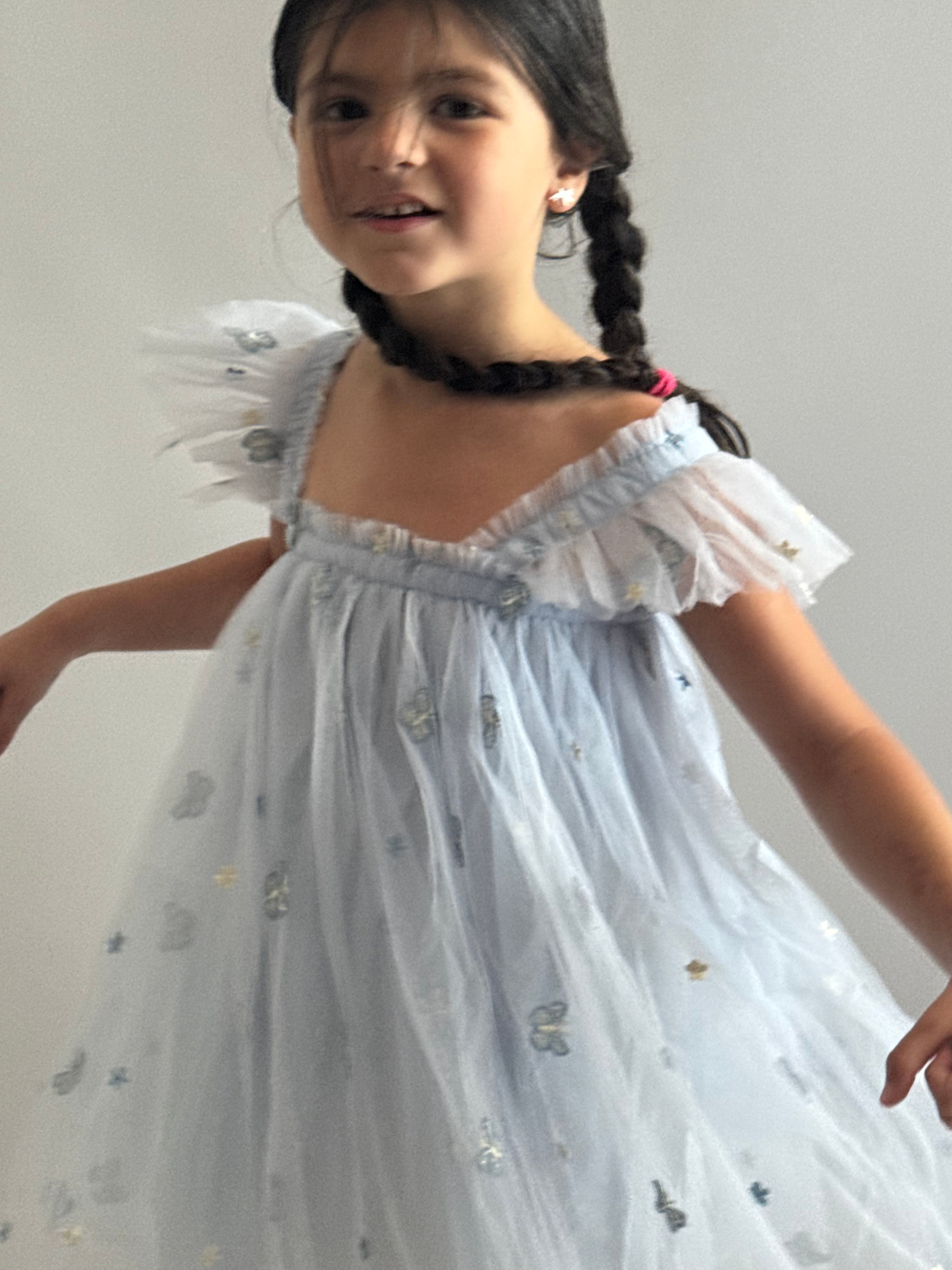 04 - NEW Baby Blue  Flower and Butterfly Dress