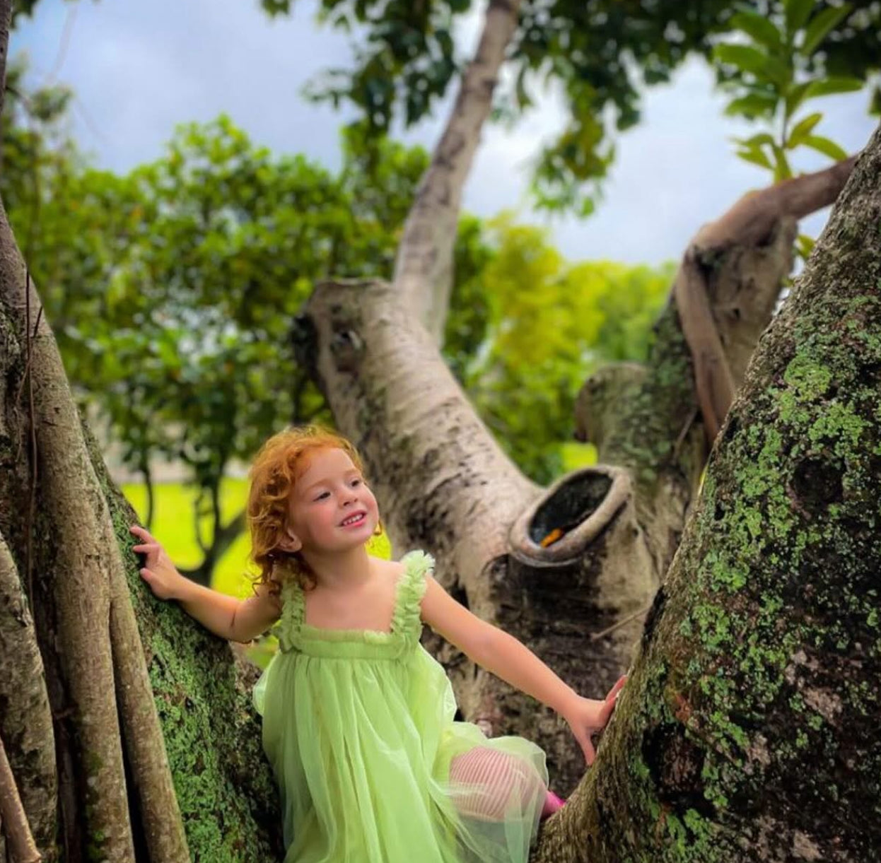 27 - Butterfly wing Fairy Dress Sage Green