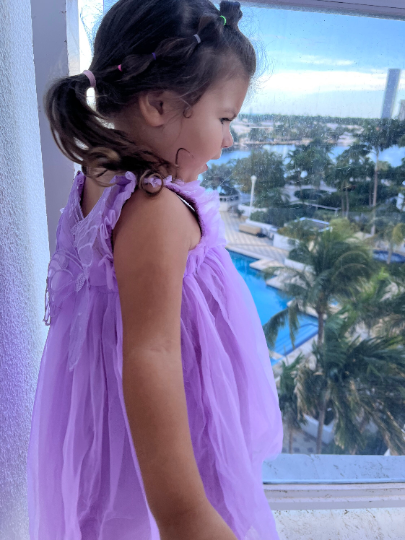 17 - Purple Butterfly Fairy Dress