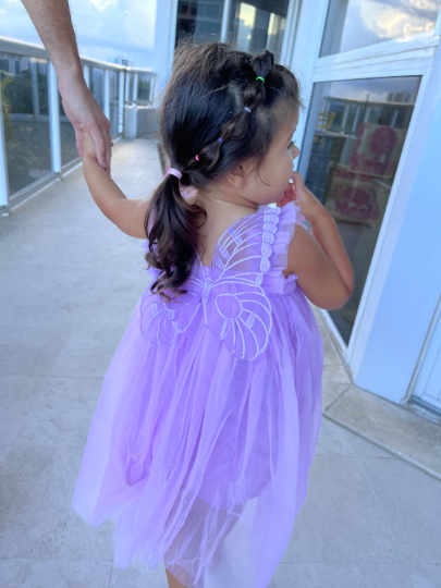 17 - Purple Butterfly Fairy Dress