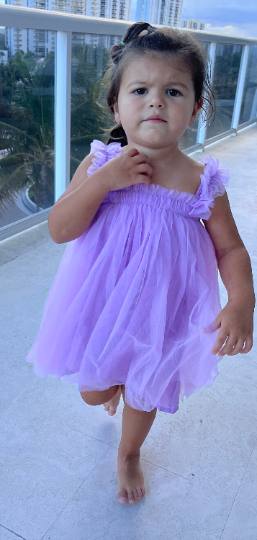 17 - Purple Butterfly Fairy Dress