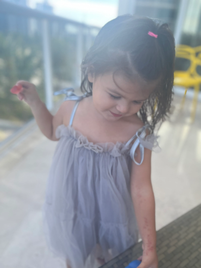 53 - Two Layers Grey Tulle Dress Toddler