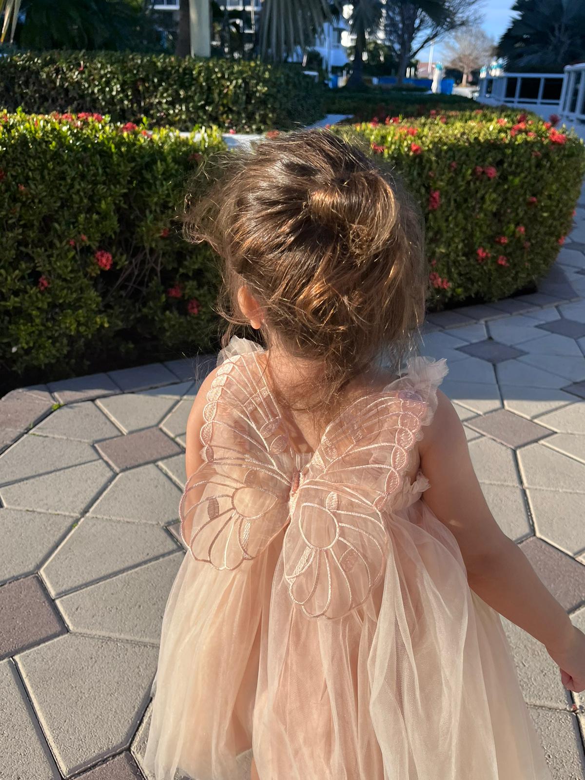 19 - Butterfly wing Fairy Dress Champagne