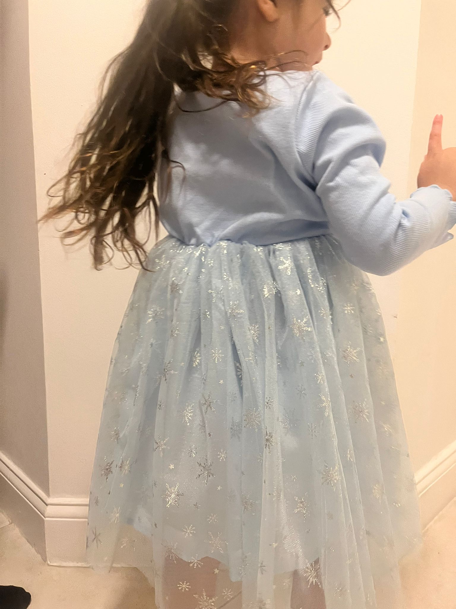 Blue Dress with Snowflakes Tutu Long Sleeves