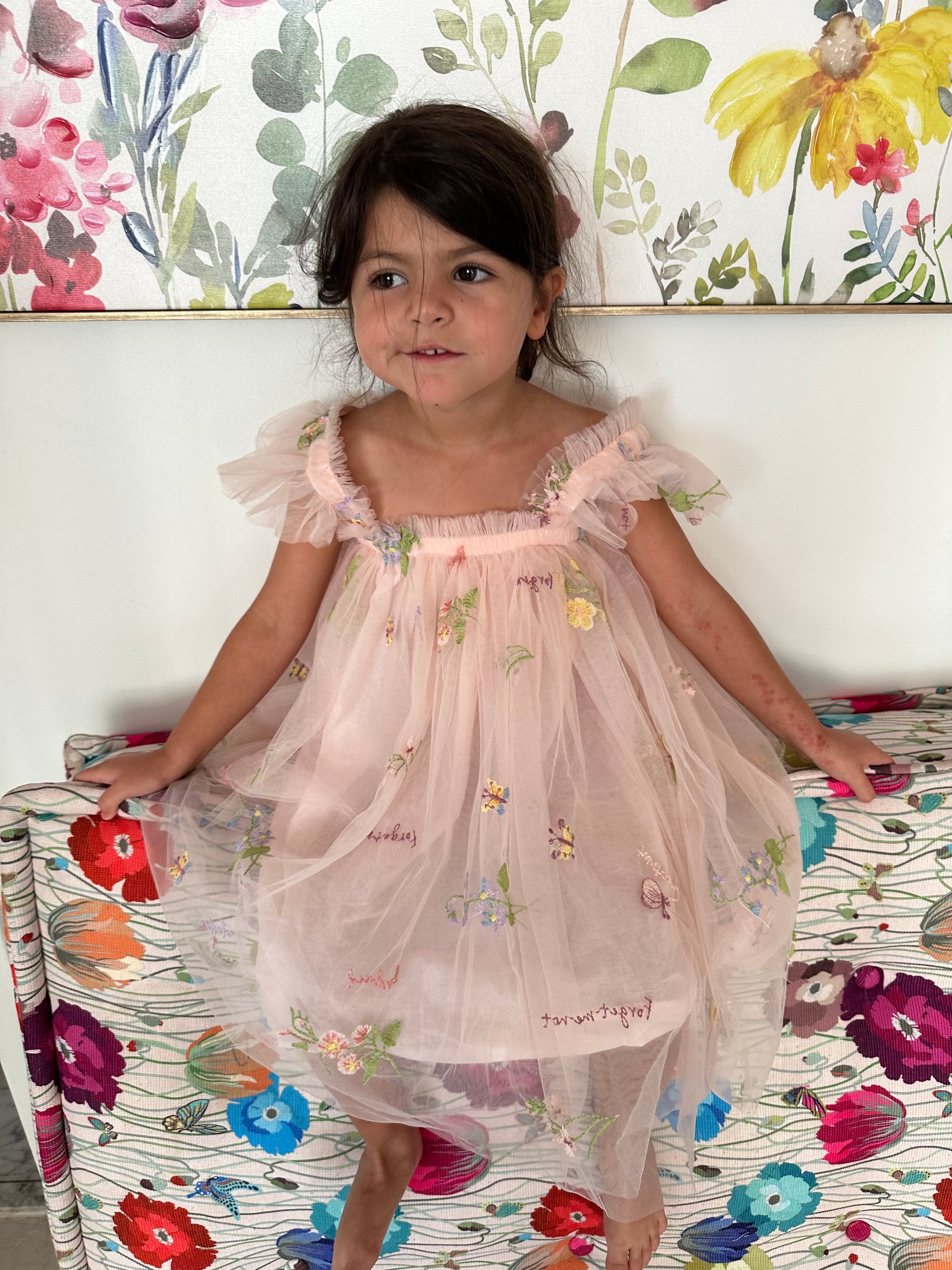 02 - Pink Dress with Flowers and Butterflies with Ruffles Sleeves