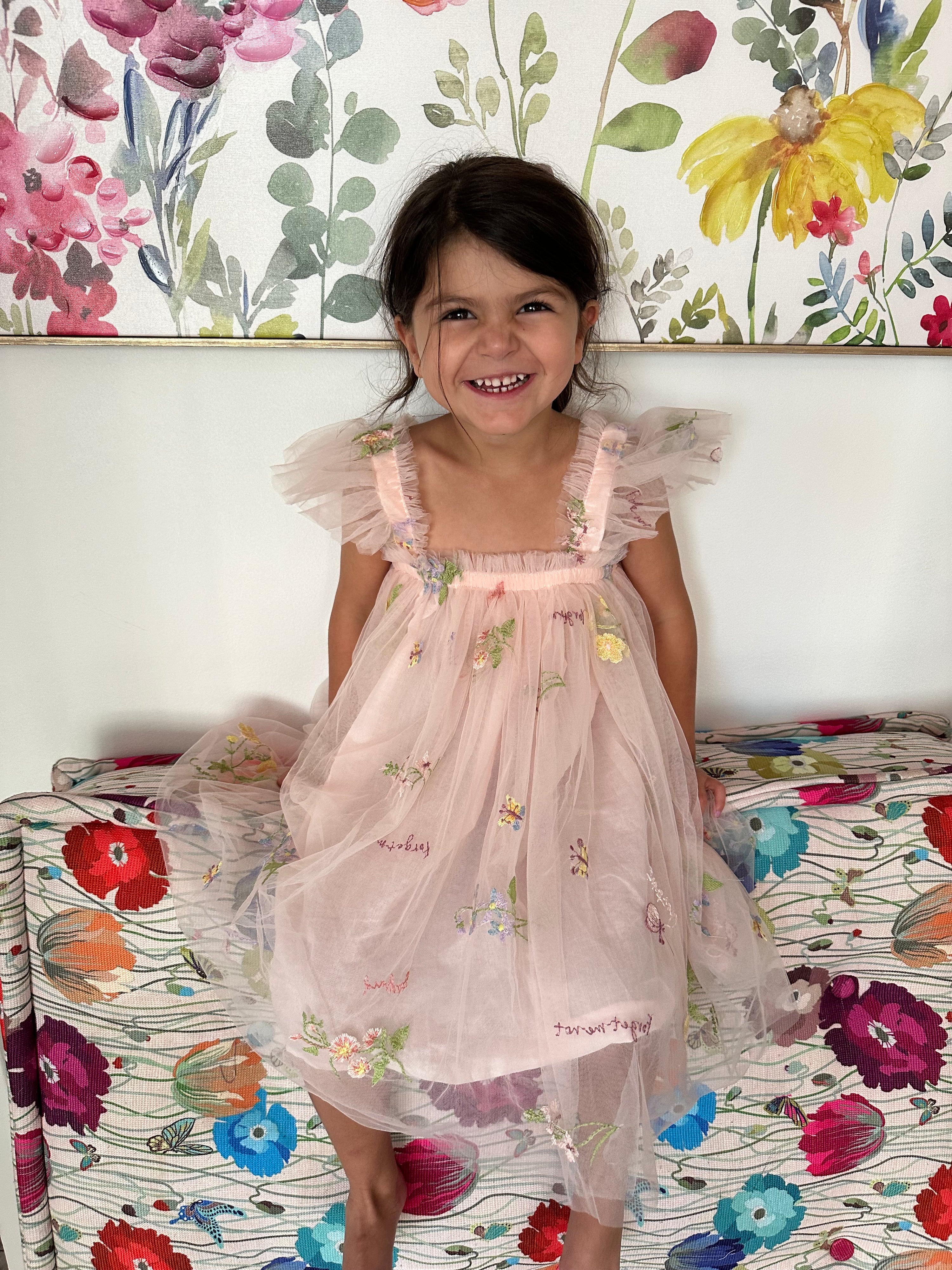 6M - 7 Years - Pink Dress with Flowers and Butterflies with Ruffles Sleeves