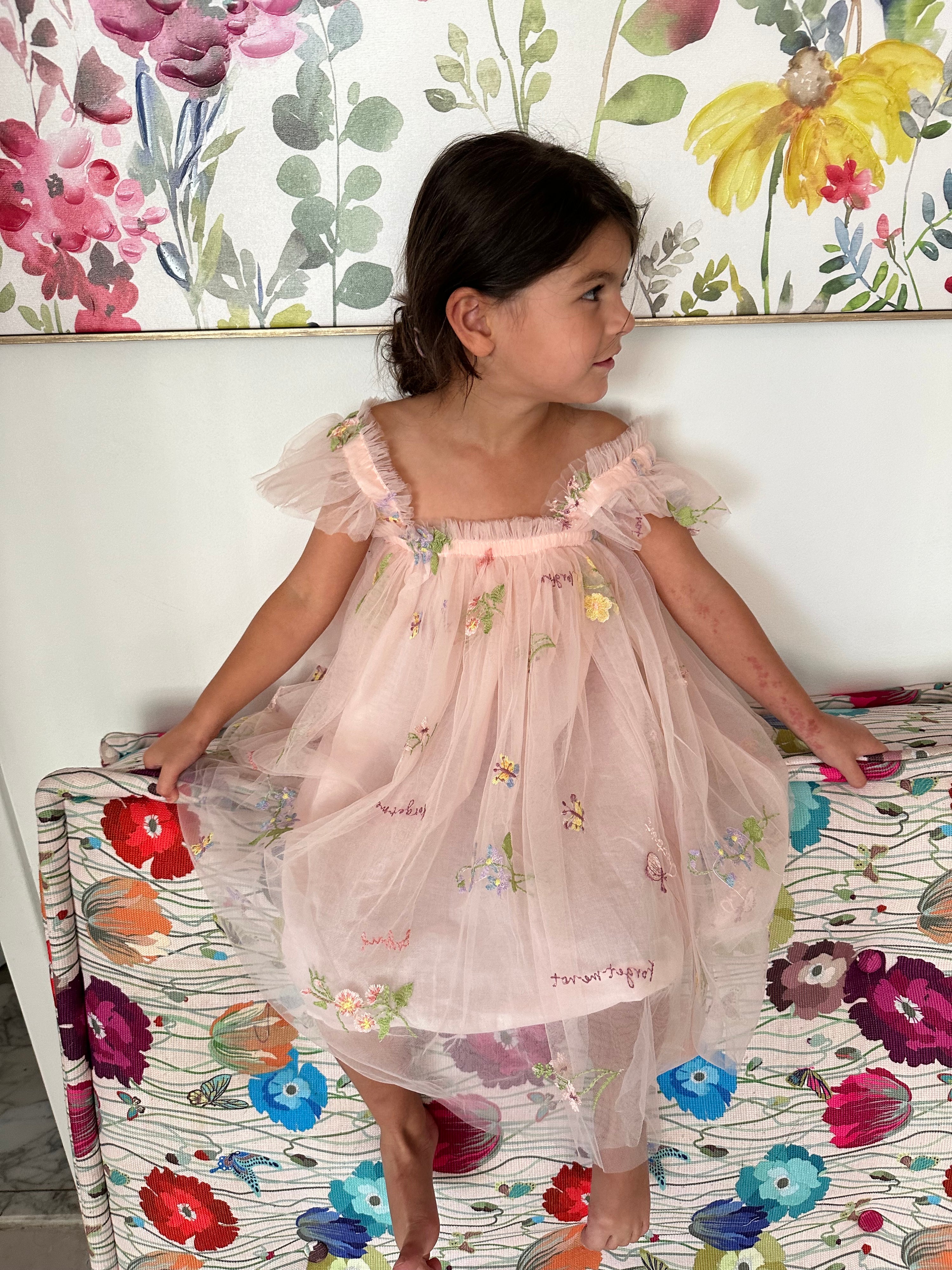 6M - 7 Years - Pink Dress with Flowers and Butterflies with Ruffles Sleeves