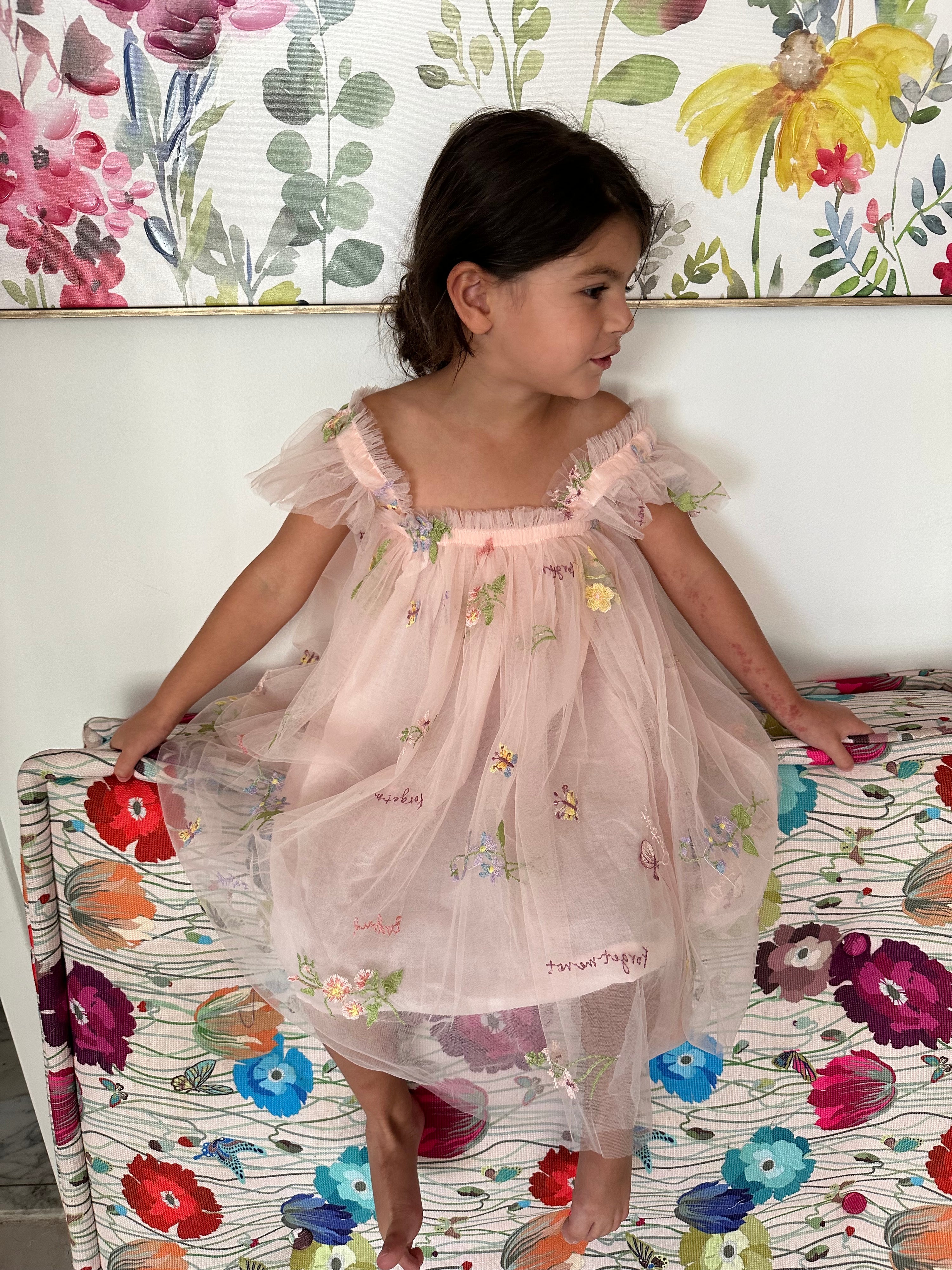 02 - Pink Dress with Flowers and Butterflies with Ruffles Sleeves