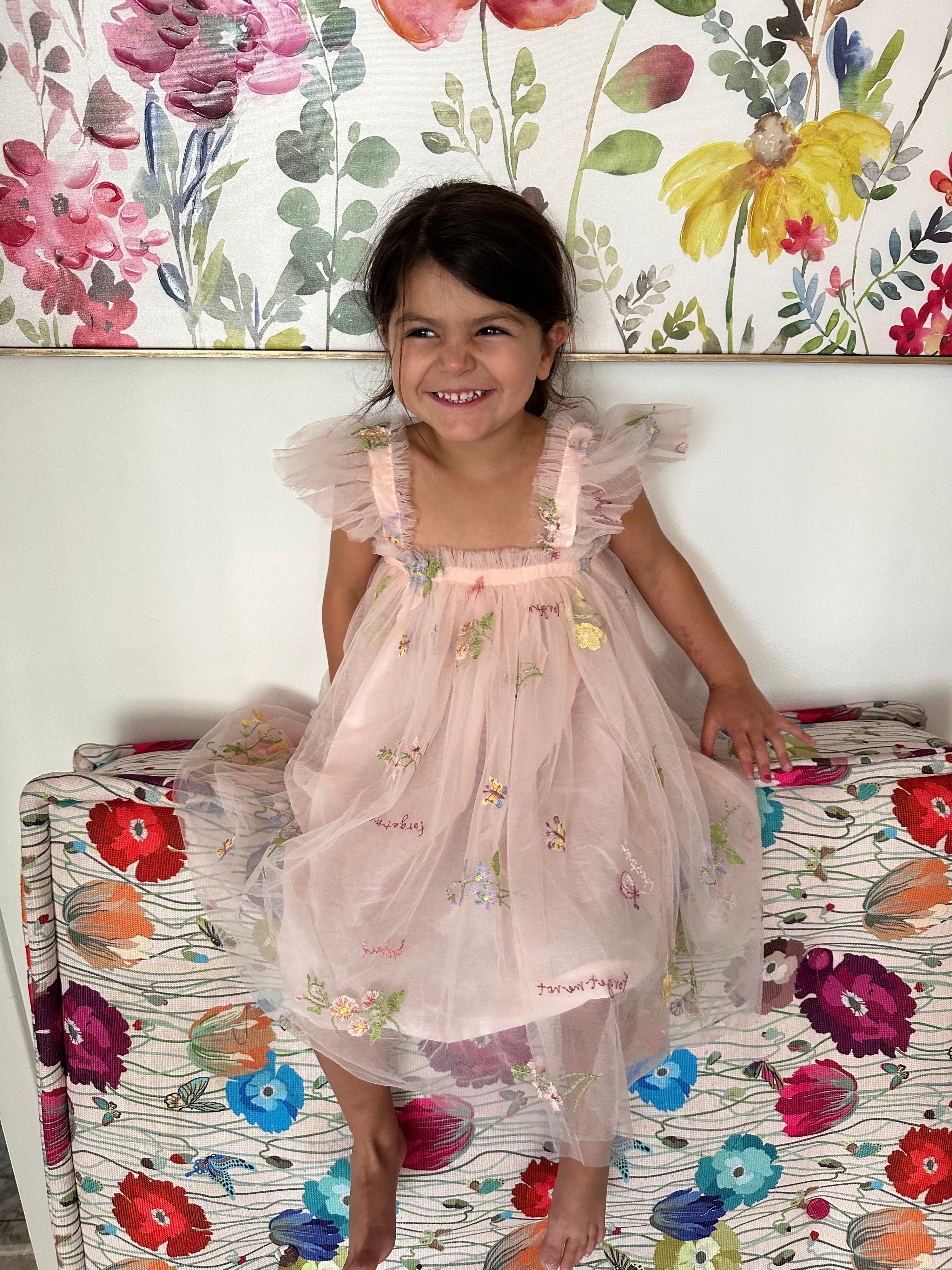 6M - 7 Years - Pink Dress with Flowers and Butterflies with Ruffles Sleeves