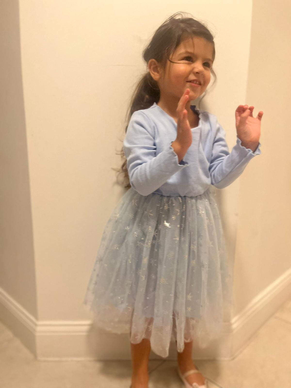 Blue Dress with Snowflakes Tutu Long Sleeves