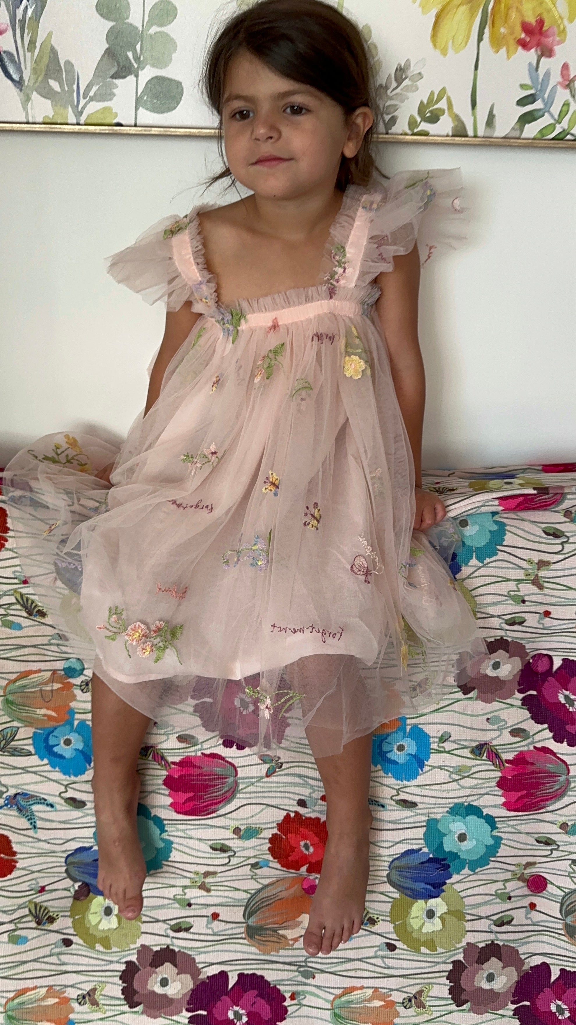 6M - 7 Years - Pink Dress with Flowers and Butterflies with Ruffles Sleeves