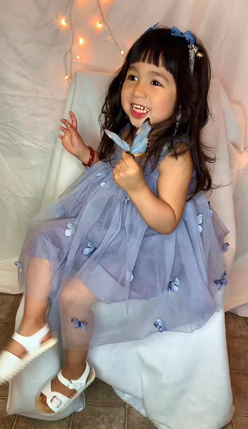 Dusty Blue Butterfly Fairy Dress