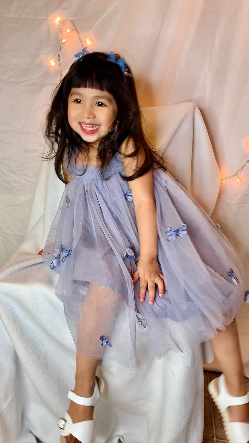 Dusty Blue Butterfly Fairy Dress