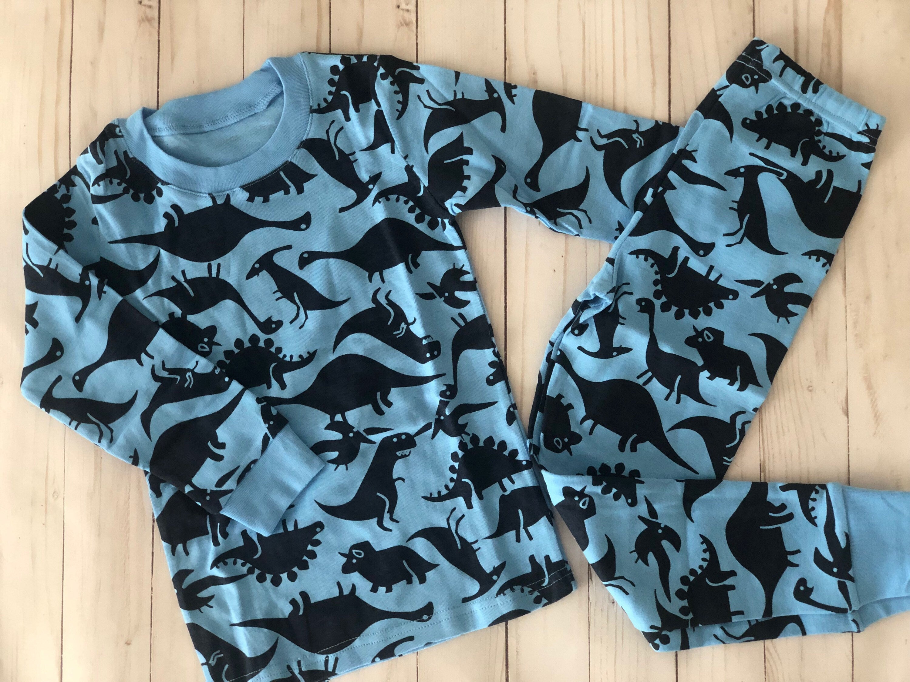 Two Piece Pajamas- Dinosaurs